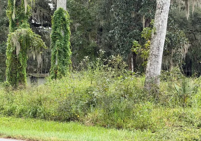 Photo 3 of Land for sale at County Rd 426e, Lake Panasoffkee, FL 33538 | MLS# G5118572 | Listing updated on 2026-10-03
