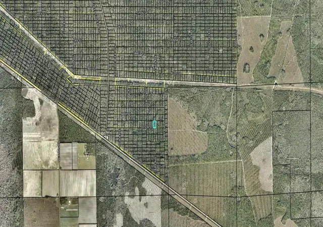 Photo 2 of Land for sale at Lt 1013 Olson St, Hastings, FL 32145 | MLS# FC321874 | Listing updated on 2026-10-03