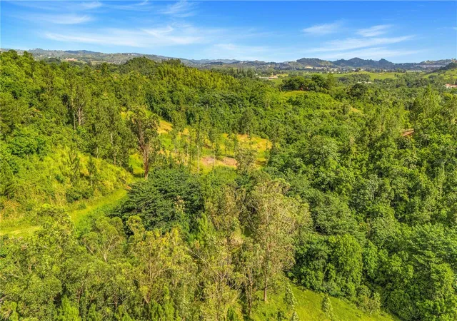 Photo 3 of Land for sale at 63 Sector Monticello, Cidra, PR 00739 | MLS# PR9124672 | Listing updated on 2026-10-03