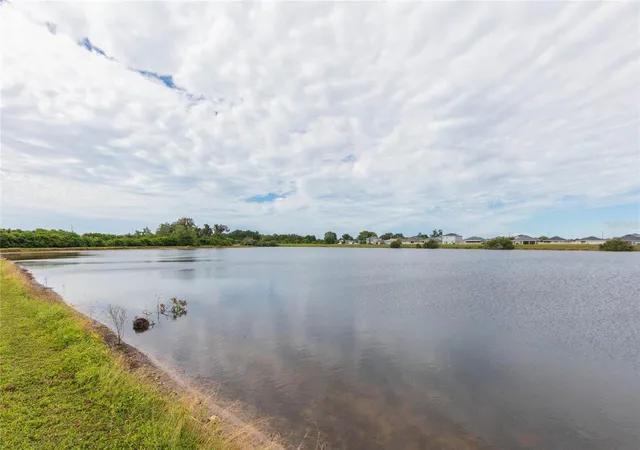 Photo 4 of Single family home for sale at 11933 Downy Birch Dr, Riverview, FL 33569 | MLS# TB8554495 | Listing updated on 2026-10-05