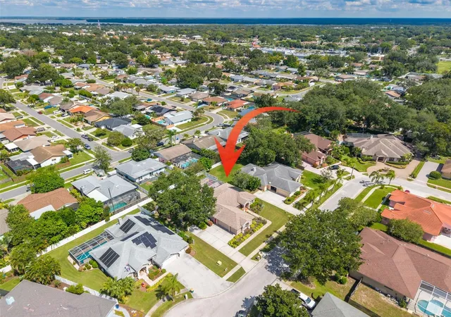 Photo 3 of Single family home for sale at 1555 Sunray Dr, Palm Harbor, FL 34683 | MLS# TB8554514 | Listing updated on 2026-10-05