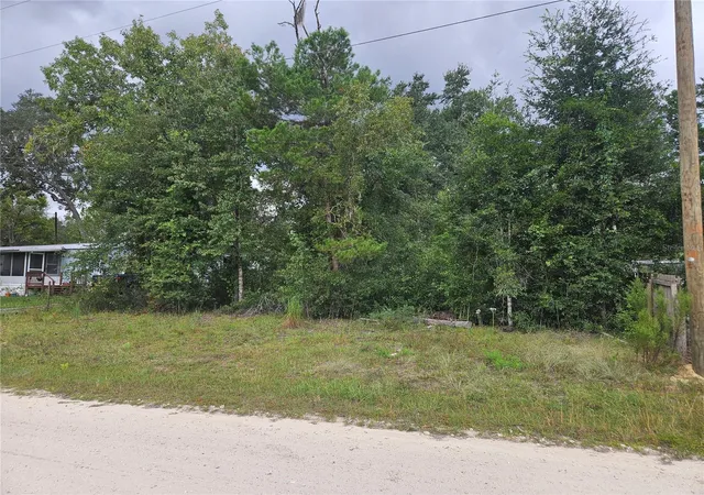 Land for sale at 0000 NE 141st Avenue, WILLISTON, FL 32696 | MLS# OM733388