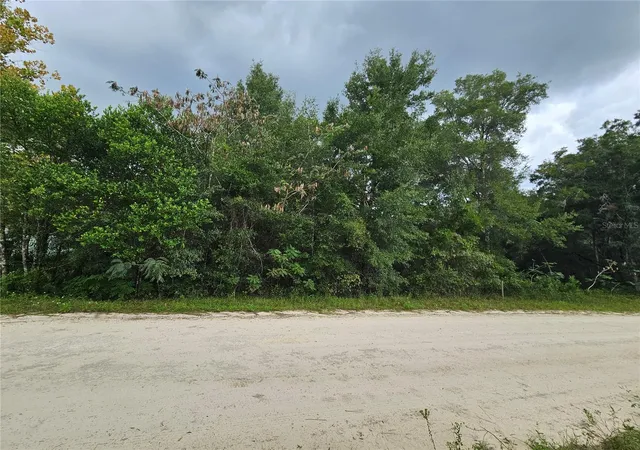 Photo 3 of Land for sale at 0000 Ne 141st Avenue, Williston, FL 32696 | MLS# OM733388 | Listing updated on 2026-10-03