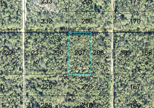 Photo 1 of Land for sale at 207 Donna St, Hastings, FL 32145 | MLS# FC321878 | Listing updated on 2026-10-03