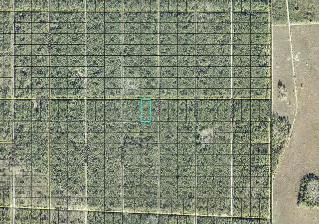 Photo 2 of Land for sale at 207 Donna St, Hastings, FL 32145 | MLS# FC321878 | Listing updated on 2026-10-03