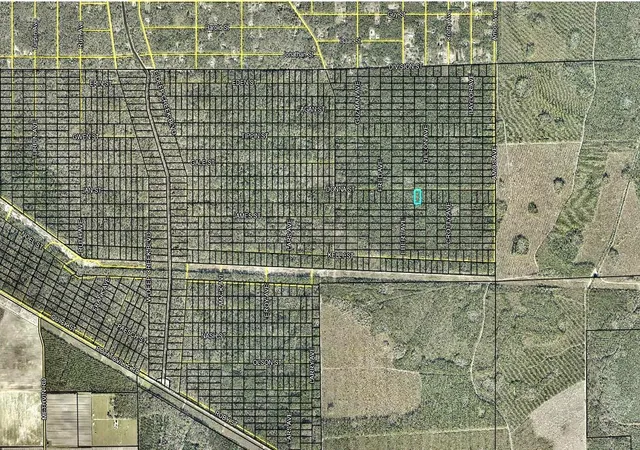 Photo 3 of Land for sale at 207 Donna St, Hastings, FL 32145 | MLS# FC321878 | Listing updated on 2026-10-03