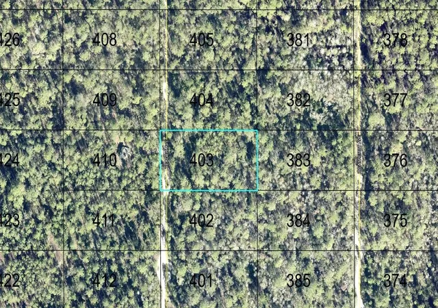 Land for sale at 403 Yeager Ave, HASTINGS, FL 32145 | MLS# FC321881