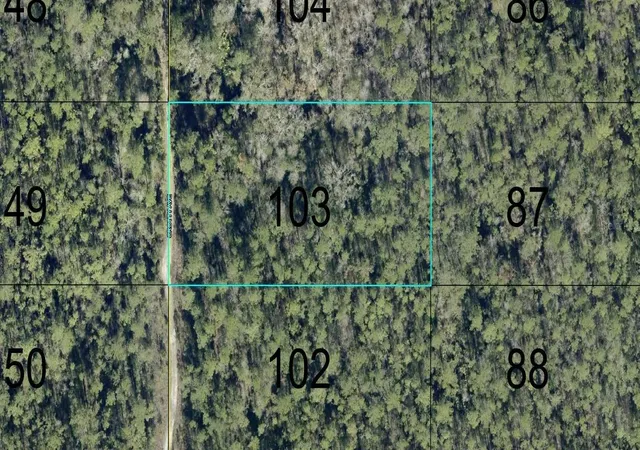 Land for sale at 103 Crotty St, HASTINGS, FL 32145 | MLS# FC321883