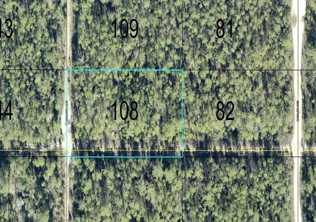 Land for sale at 108 Crotty St, HASTINGS, FL 32145 | MLS# FC321888