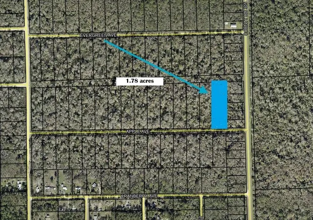 Land for sale at 3540 Apple Ave, BUNNELL, FL 32110 | MLS# K4903834