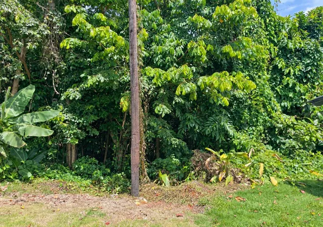Photo 2 of Land for sale at Carr 119, Las Marias, PR 00670 | MLS# PR9124686 | Listing updated on 2026-10-15