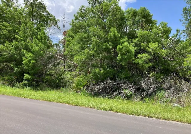 Land for sale at Forehand Rd, DAVENPORT, FL 33896 | MLS# S5158811