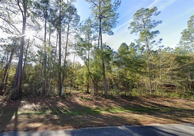 Photo 2 of Land for sale at 200 Nw Scenic Lake Dr, Lake City, FL 32055 | MLS# A4708378 | Listing updated on 2026-10-07