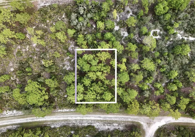 Photo 1 of Land for sale at 1137 Redbird St, Lake Placid, FL 33852 | MLS# O6447060 | Listing updated on 2026-10-04