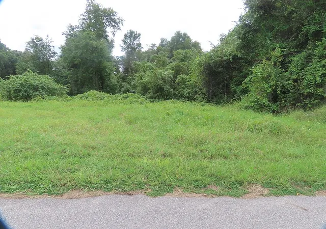 Land for sale at 17701 Seidner Rd, WINTER GARDEN, FL 34787 | MLS# O6447065