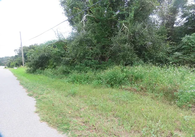 Photo 1 of Land for sale at 17701 Seidner Rd, Winter Garden, FL 34787 | MLS# O6447065 | Listing updated on 2026-10-04