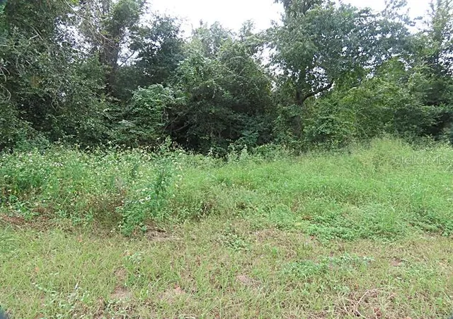 Photo 3 of Land for sale at 17701 Seidner Rd, Winter Garden, FL 34787 | MLS# O6447065 | Listing updated on 2026-10-04
