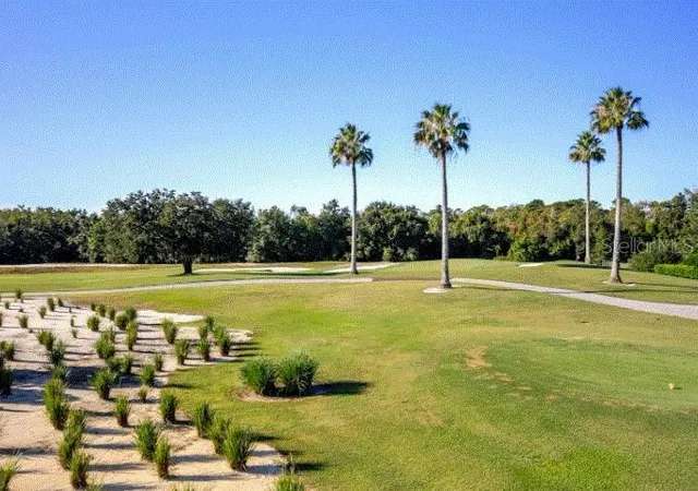 Photo 3 of Land for sale at 1188 Castle Pines Ct, Reunion, FL 34747 | MLS# O6447076 | Listing updated on 2026-10-04
