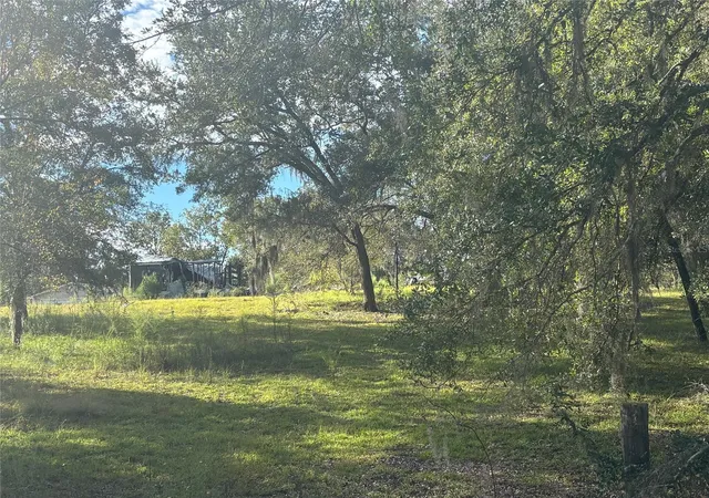 Photo 4 of Land for sale at 21030 SE 66th Street, Morriston, FL 32668 | MLS# OM733408 | Listing updated on 2026-10-04