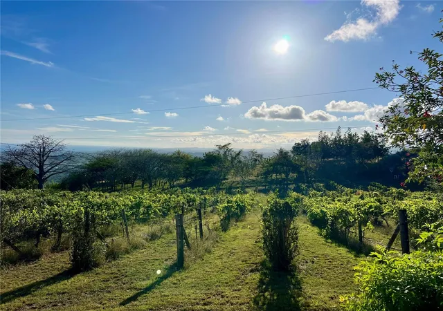 Land for sale at Pr 154 Km 1.2 Int Bo Jauca Ii, SANTA ISABEL, PR 00757 | MLS# PR9124699