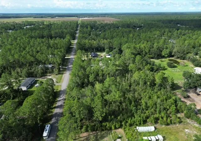 Photo 3 of Land for sale at 9810 Crotty Ave, Hastings, FL 32145 | MLS# S5158841 | Listing updated on 2026-10-04