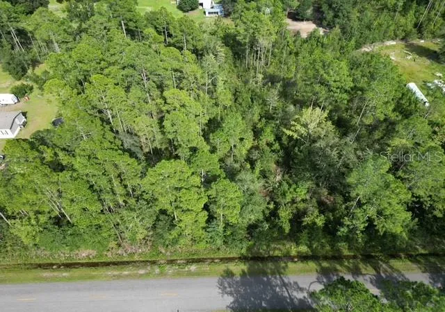 Photo 4 of Land for sale at 9810 Crotty Ave, Hastings, FL 32145 | MLS# S5158841 | Listing updated on 2026-10-04