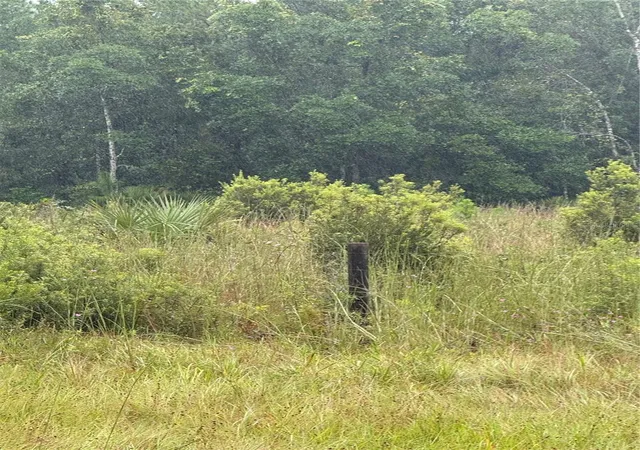 Photo 1 of Land for sale at 765 N Us Hwy 17, Pierson, FL 32180 | MLS# V4951650 | Listing updated on 2026-10-09