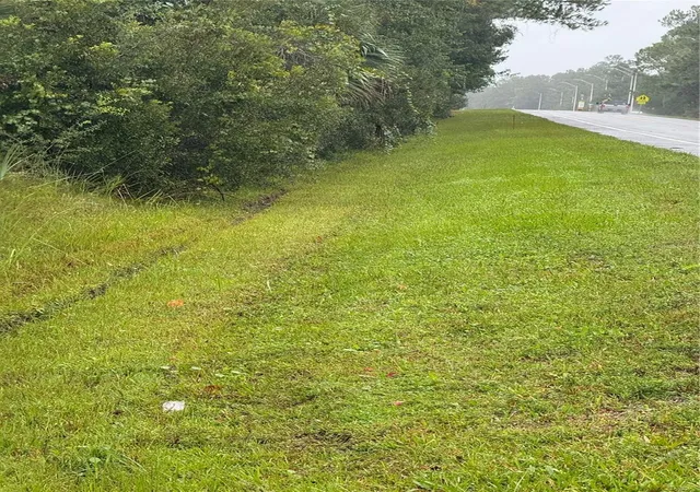 Photo 2 of Land for sale at 765 N Us Hwy 17, Pierson, FL 32180 | MLS# V4951650 | Listing updated on 2026-10-09