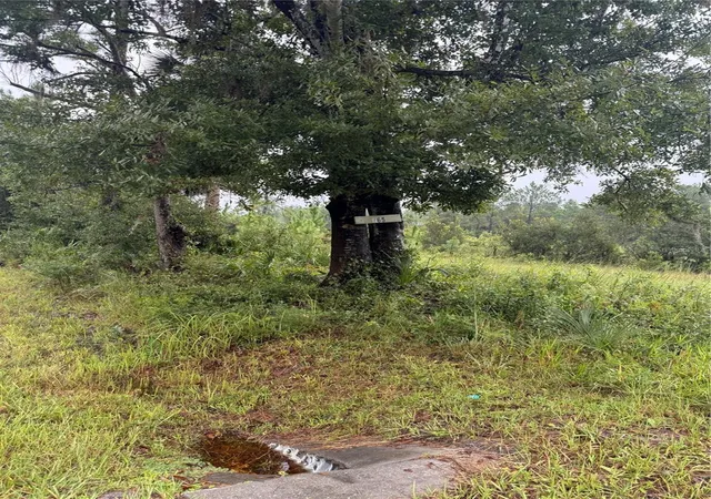 Photo 4 of Land for sale at 765 N US Hwy 17, Pierson, FL 32180 | MLS# V4951650 | Listing updated on 2026-10-09