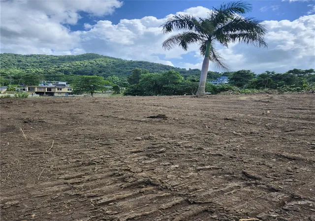 Photo 3 of Land for sale at Bo Lomas, Canovanas, PR 00729 | MLS# PR9124705 | Listing updated on 2026-10-04