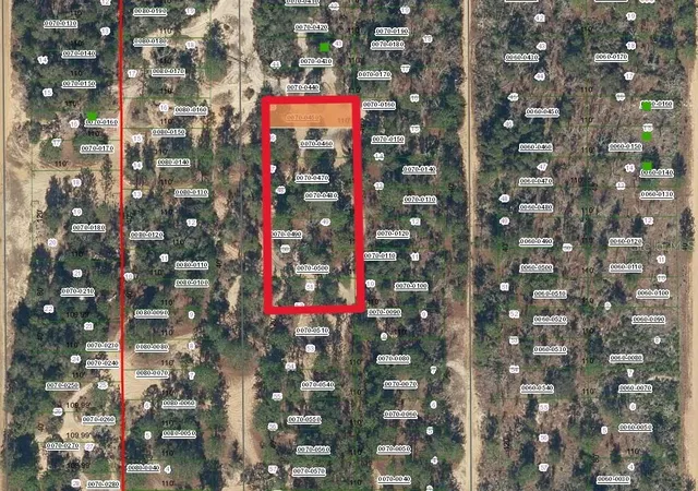 Photo 2 of Land for sale at Palm St, Interlachen, FL 32148 | MLS# D6149024 | Listing updated on 2026-10-04