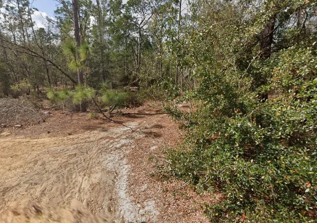 Photo 4 of Land for sale at Palm St, Interlachen, FL 32148 | MLS# D6149024 | Listing updated on 2026-10-04