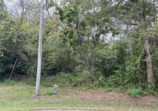 Land for sale at 12 Pebbleton Pl, PALM COAST, FL 32164 | MLS# FC321901