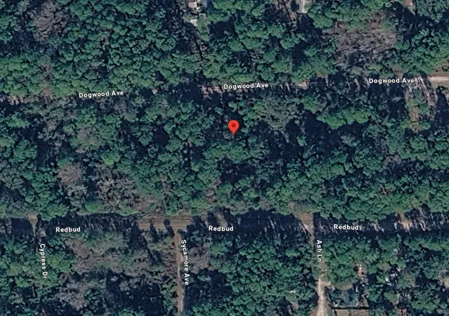 Photo 2 of Land for sale at 217 Dogwood Ave, Georgetown, FL 32139 | MLS# OM733429 | Listing updated on 2026-10-04
