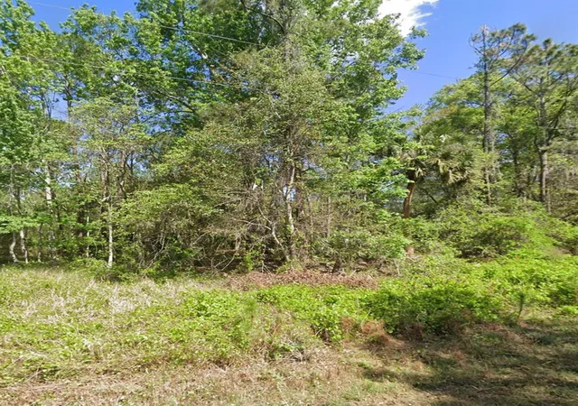 Photo 3 of Land for sale at 217 Dogwood Ave, Georgetown, FL 32139 | MLS# OM733429 | Listing updated on 2026-10-04