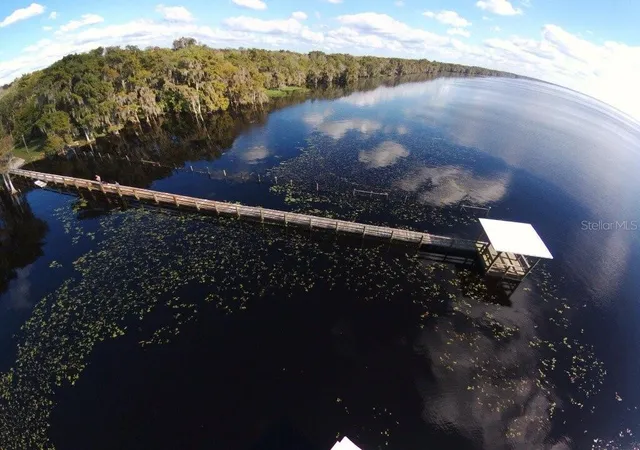 Photo 4 of Land for sale at 217 Dogwood Ave, Georgetown, FL 32139 | MLS# OM733429 | Listing updated on 2026-10-04