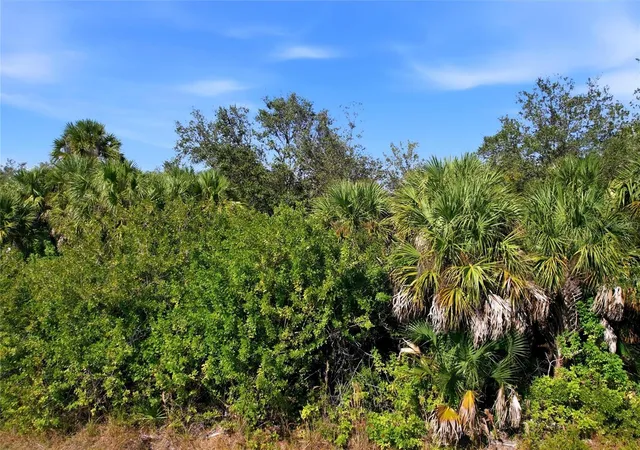 Photo 4 of Land for sale at 2072 Chaffee St, Port Charlotte, FL 33953 | MLS# TB8554767 | Listing updated on 2026-10-04