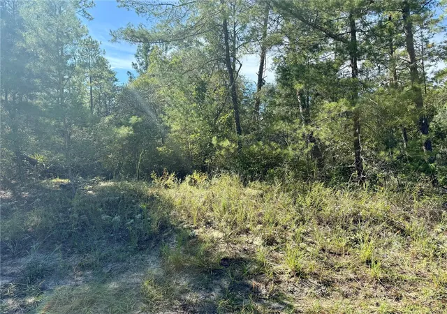 Photo 1 of Land for sale at 4419 W Malaluka Cir, Citrus Springs, FL 34433 | MLS# OM733436 | Listing updated on 2026-10-05