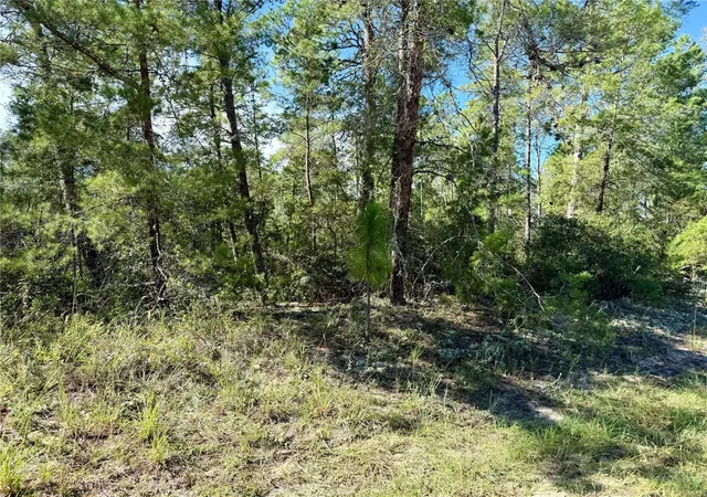 Photo 3 of Land for sale at 4419 W Malaluka Cir, Citrus Springs, FL 34433 | MLS# OM733436 | Listing updated on 2026-10-05