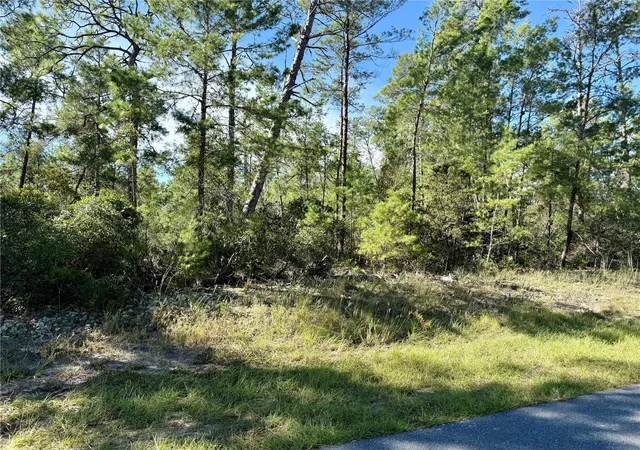 Photo 4 of Land for sale at 4419 W Malaluka Cir, Citrus Springs, FL 34433 | MLS# OM733436 | Listing updated on 2026-10-05
