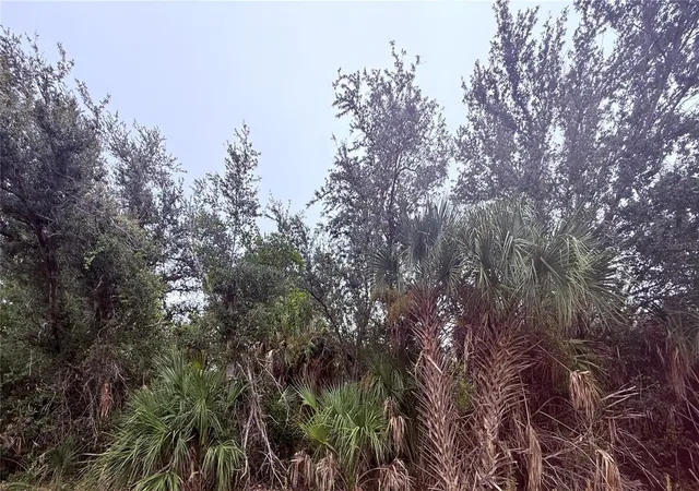 Land for sale at 4909 Corsica Dr, SEBRING, FL 33872 | MLS# TB8554849