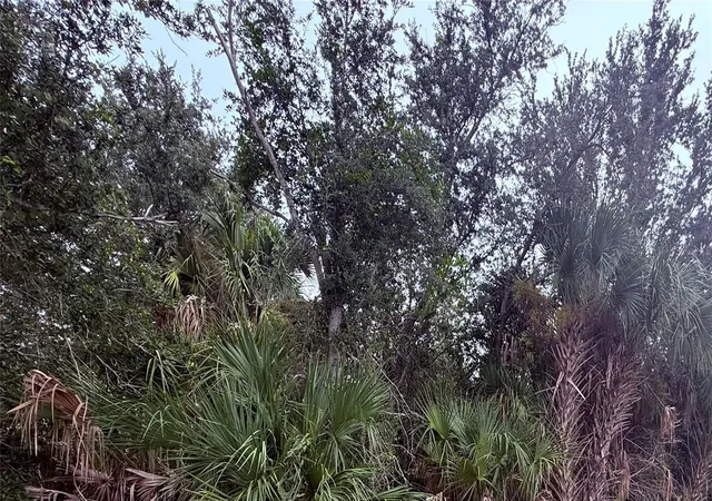 Land for sale at 4739 Trevino Ave, SEBRING, FL 33872 | MLS# TB8554855