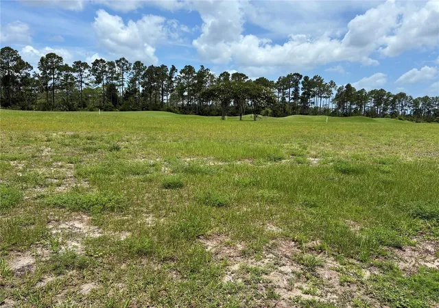 Photo 2 of Land for sale at 406 Bourganville Dr, Palm Coast, FL 32137 | MLS# FC321911 | Listing updated on 2026-10-06