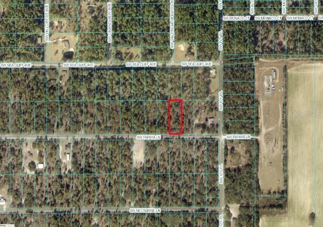 Photo 1 of Land for sale at Tbd Sw Papaya Ln, Dunnellon, FL 34431 | MLS# OM733449 | Listing updated on 2026-10-05