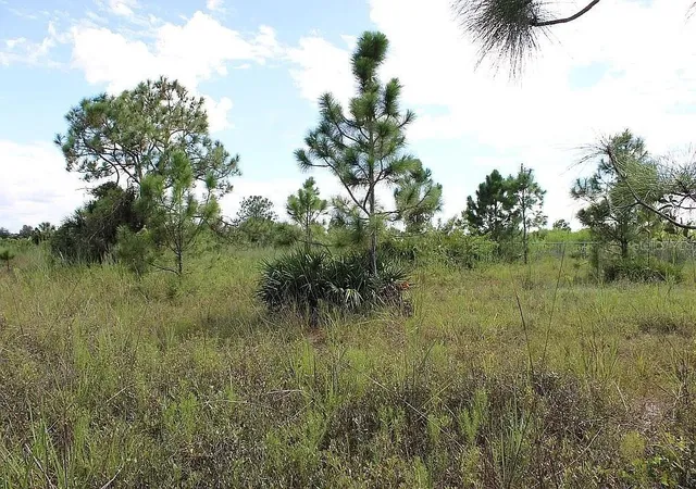 Land for sale at 4114 56th Avenue NE, NAPLES, FL 34120 | MLS# O6447235