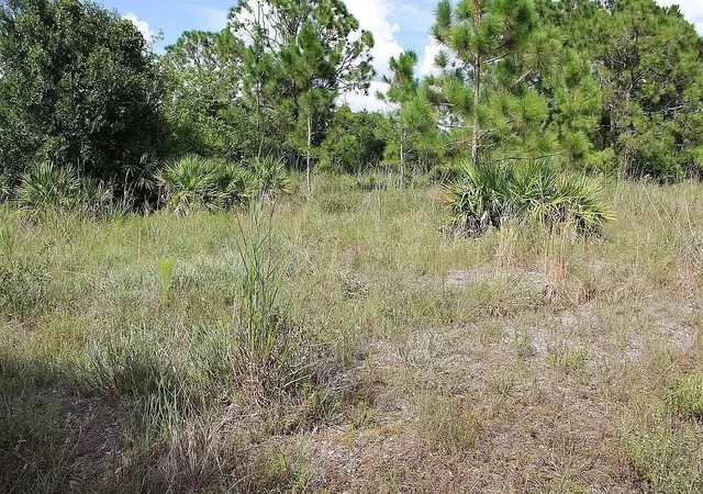 Photo 3 of Land for sale at 4114 56th Avenue Ne, Naples, FL 34120 | MLS# O6447235 | Listing updated on 2026-10-08