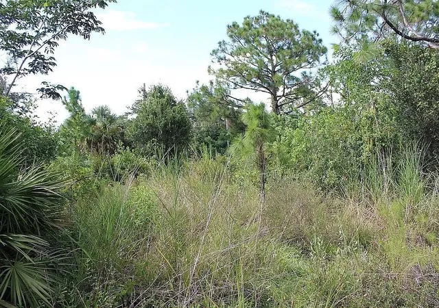 Photo 3 of Land for sale at 4114 56th Avenue NE, Naples, FL 34120 | MLS# O6447235 | Listing updated on 2026-10-08