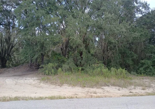 Land for sale at SE Malauka Loop Run Rd, OCKLAWAHA, FL 32179 | MLS# O6447256