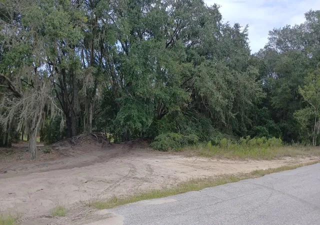 Photo 2 of Land for sale at SE Malauka Loop Run Rd, Ocklawaha, FL 32179 | MLS# O6447256 | Listing updated on 2026-10-06