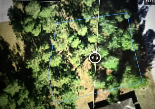Land for sale at 3 Lobelia Ct, HOMOSASSA, FL 34446 | MLS# TB8554927